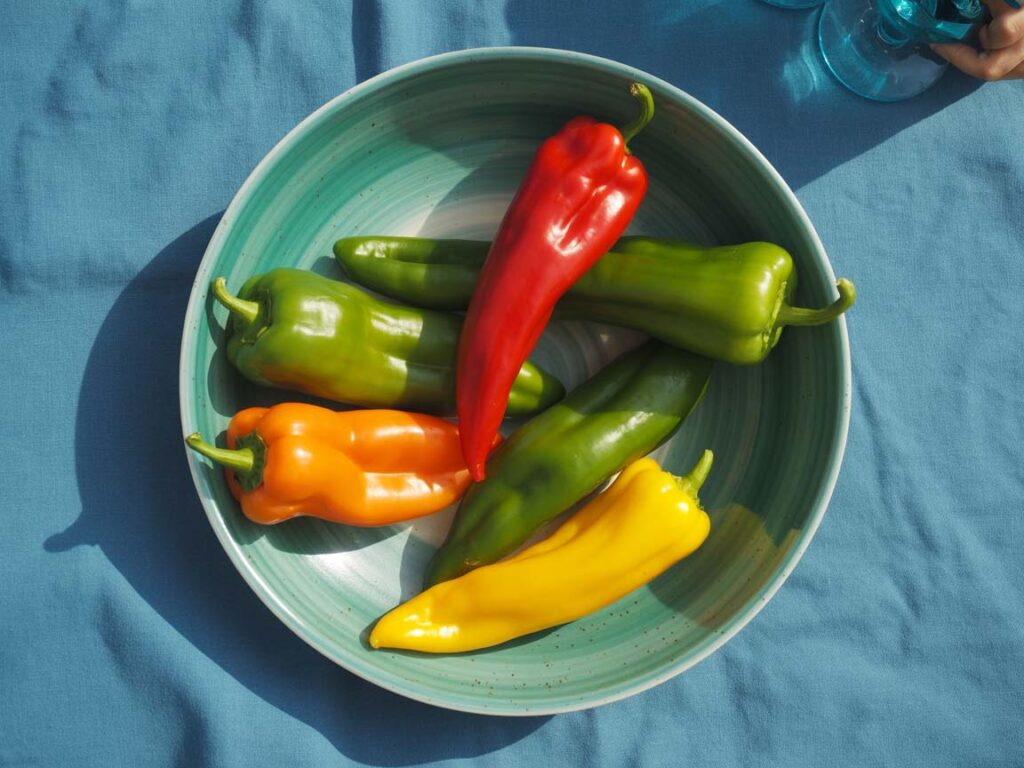 pimiento italiano de Km0 Andani | pimiento italiano