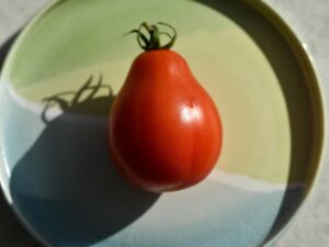 tomate pera de km0 Andani | tomate pera