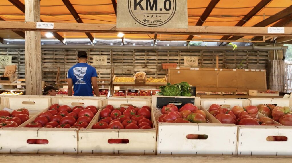 donde comprar nabo ecologico y de proximidad km0 andani | nabo verdura