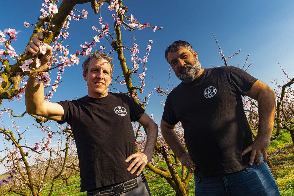 donde puedo comprar pomelo km0 en lleida km0 andani | propiedades del pomelo