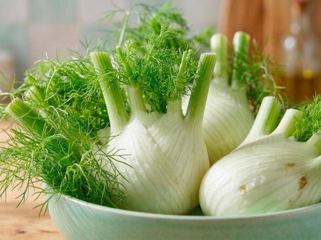 propiedades hinojo ecologico en Alfarras km0