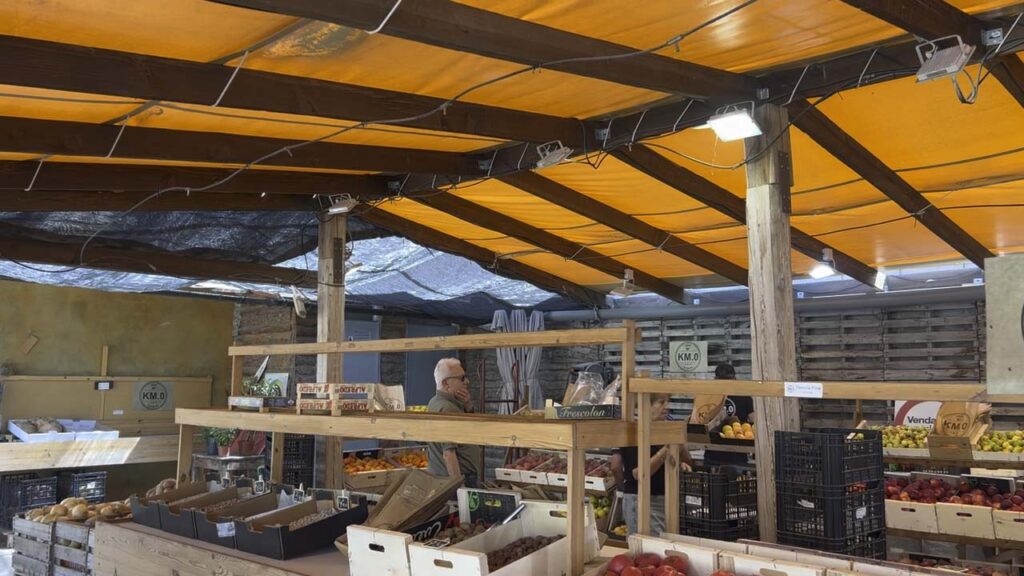 visita nuestra tienda de km0 andani fruta y verdura ecologica en Lleida | propiedades del pomelo