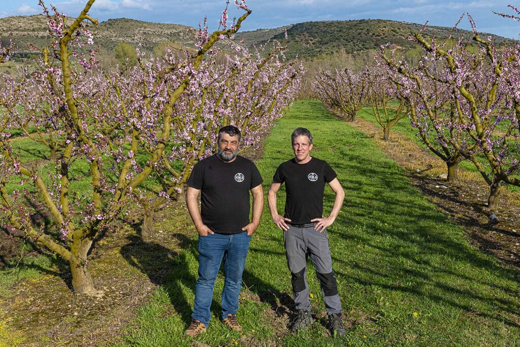 fruta de temporada directamente del campo km0 andani | ciruela