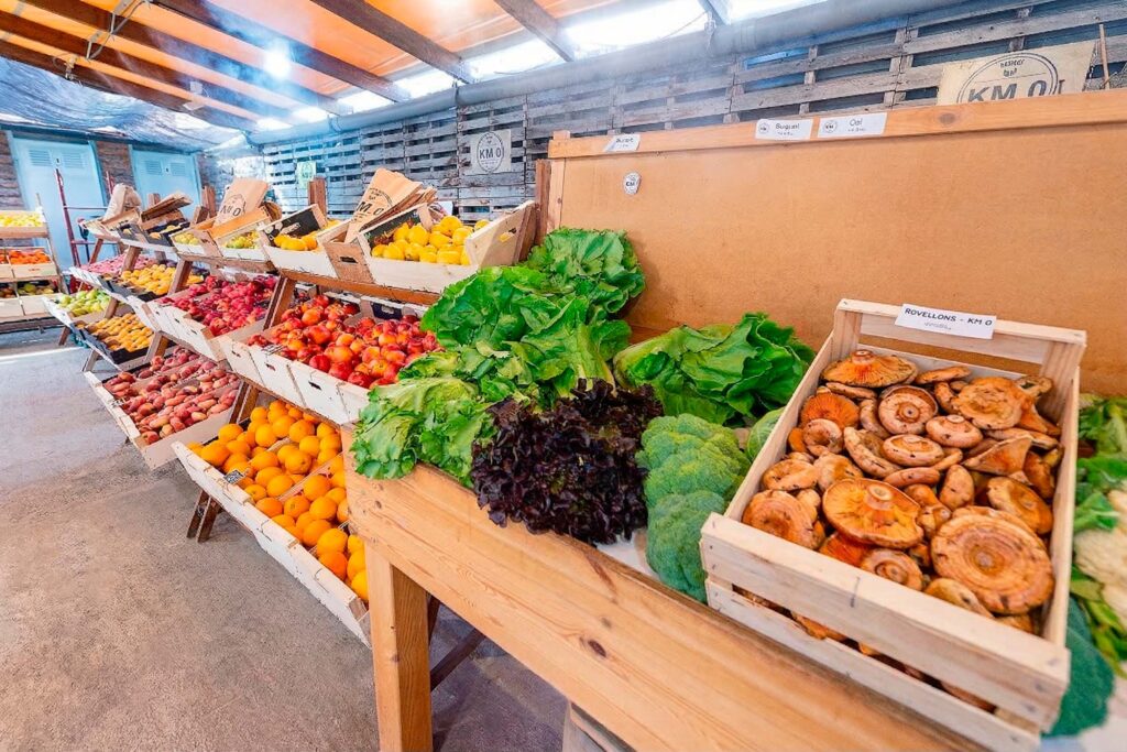 Robellones Km 0 de agricultura sostenible | tienda km0 andani