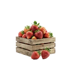 Caja de Fresas 1 kg