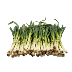 Calçots 25 uds