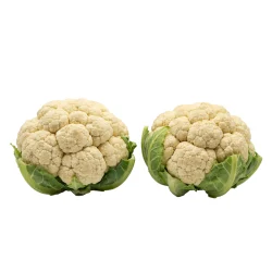 Coliflor