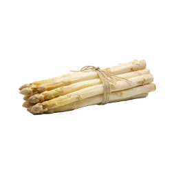 Espárrago Blanco