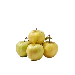 Manzana Golden