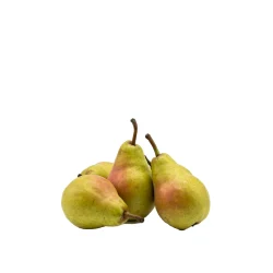 Pera Ercolina