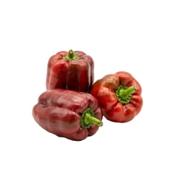 Pimiento Rojo