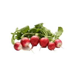 Rabanitos