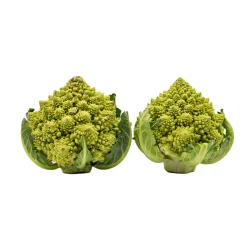 Romanesco