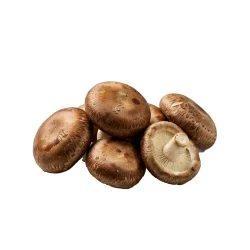 Shitake