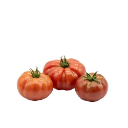 Tomate Corazón de Buey
